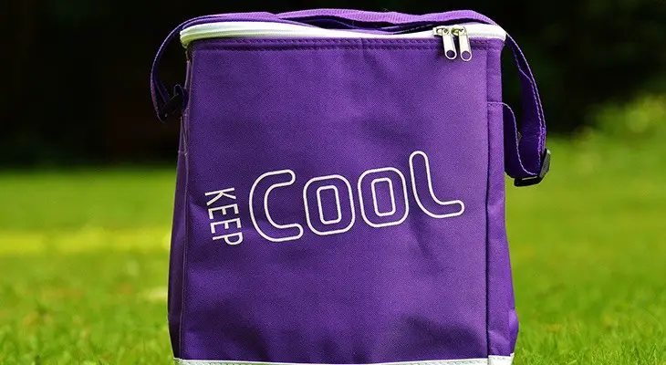 best backpack cooler